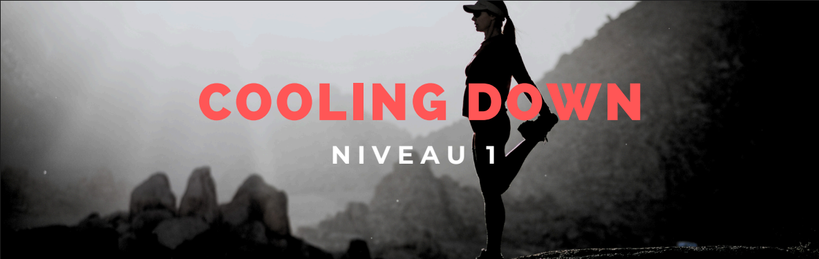 fiche image